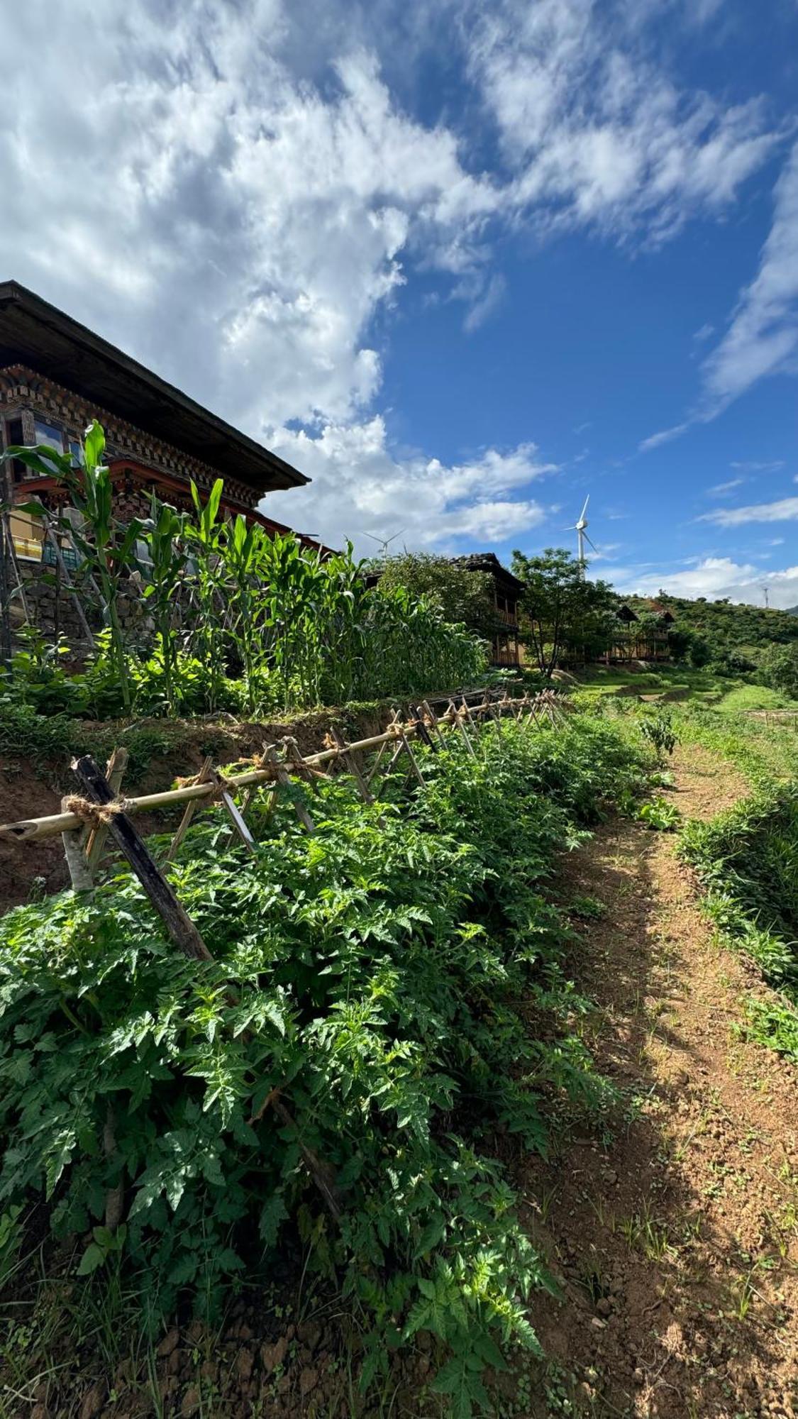Wangdue Ecolodge Wangdue Phodrang Exterior foto