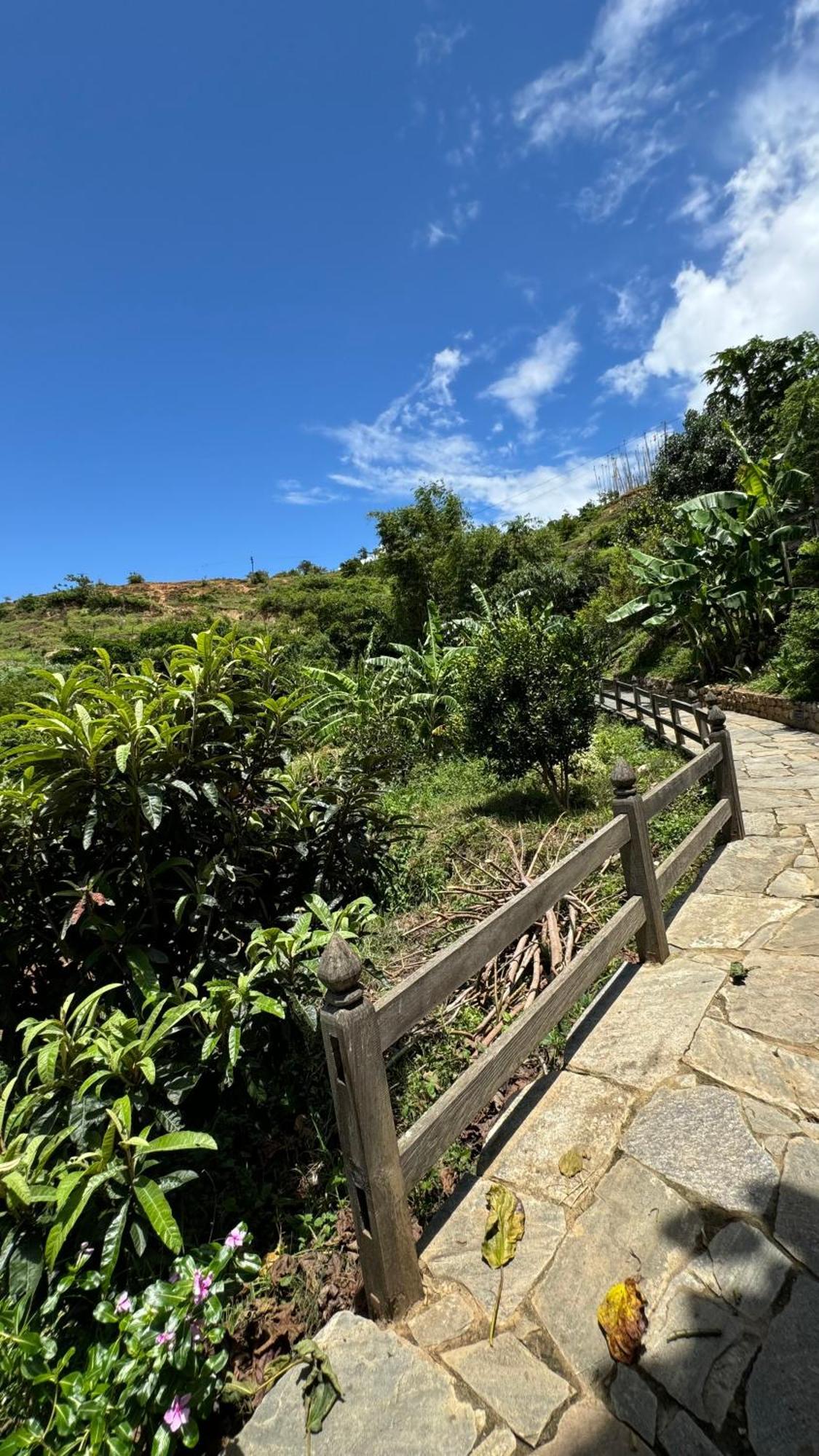 Wangdue Ecolodge Wangdue Phodrang Exterior foto